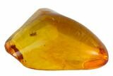 Detailed Fossil Fly (Chironomidae) In Baltic Amber #105438-1